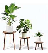 Janedream 3-Pack Wood Plant Stands Indoor, Mid-Century Modern Plant Stool for 6-12 Inch Pots, Tal...