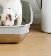 Litter Genie Platinum Stainless Steel Litter Box | Durable, Modern Design, 360° Visibility, Anti-...