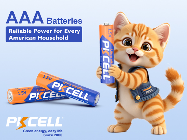 LR03 Triple A Battery
