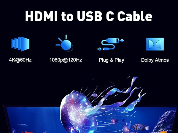 hdmi to usb c cable