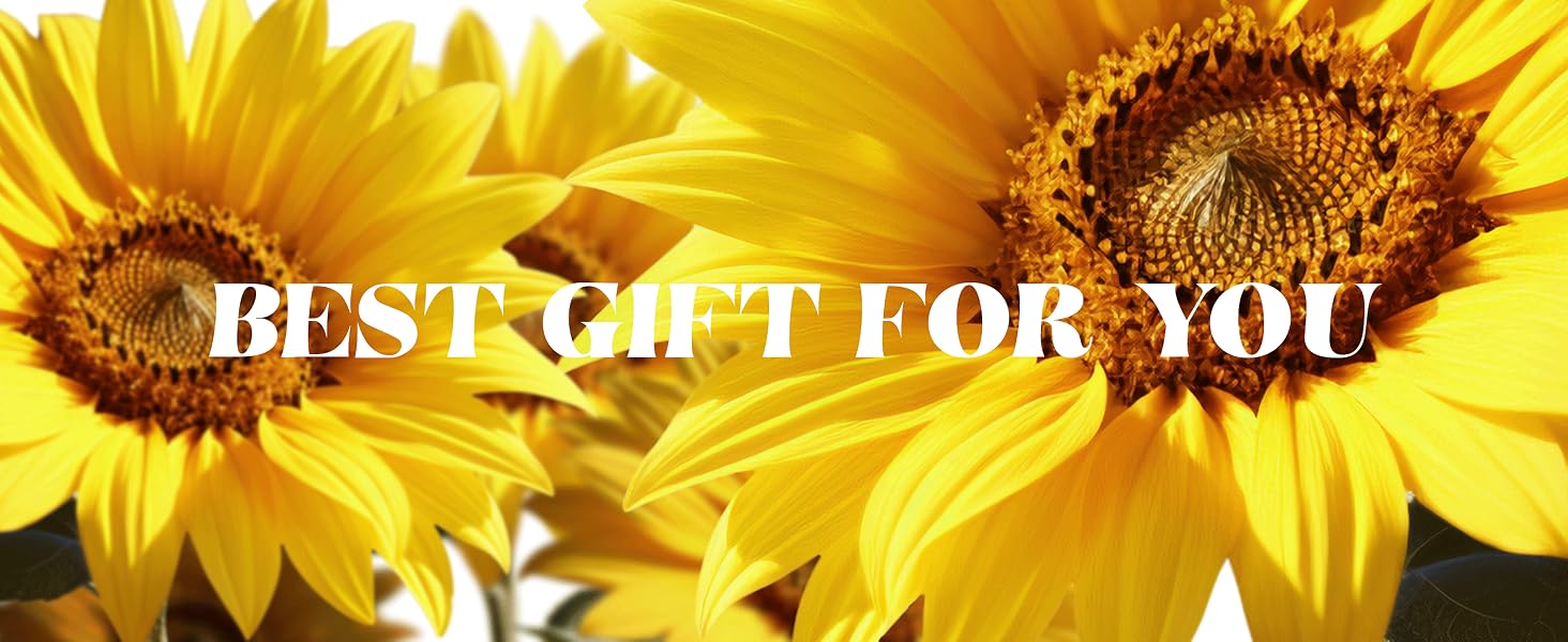 Valentine’s Day Gift for Her