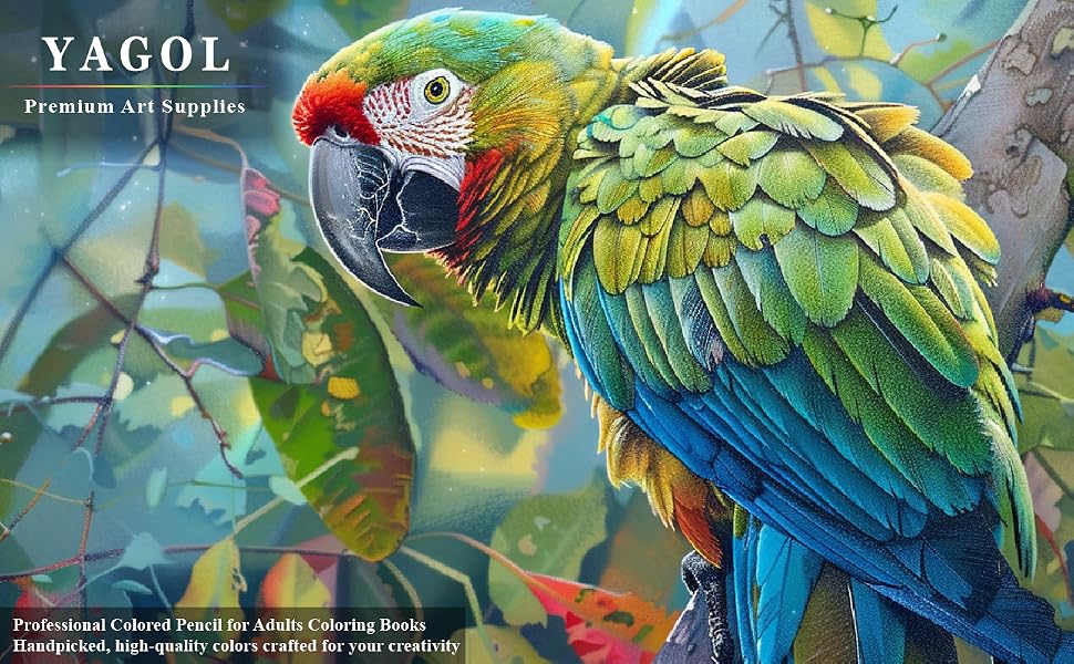 colored pencils for adult coloring books