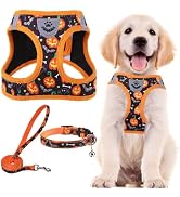 PUPTECK Adjustable Dog Harness Collar and Leash Set Step in No Pull Pet Harness for Small Medium ...
