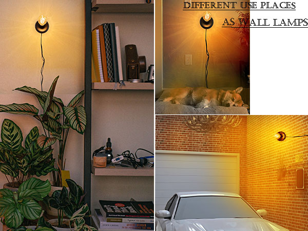 light bulb stand