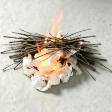 Feed the Fire