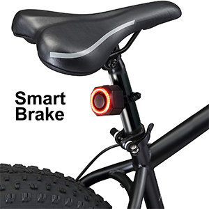 Smart Bike Brake Light