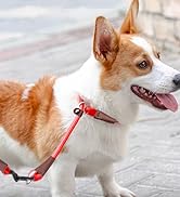MayPaw Slip Collar Nylon Rope Choke Collar for Dog Training- No Pull Round Martingale Dog Collar ...