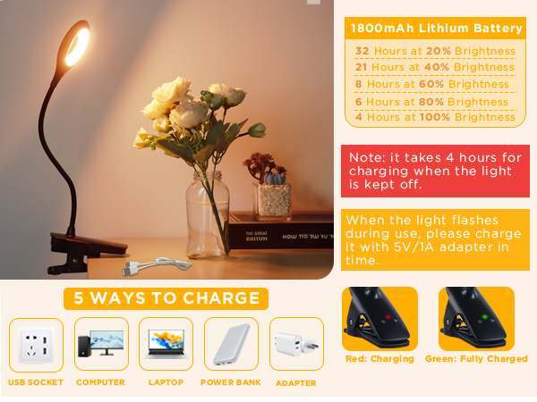 0056-CLIP ON LIGHT