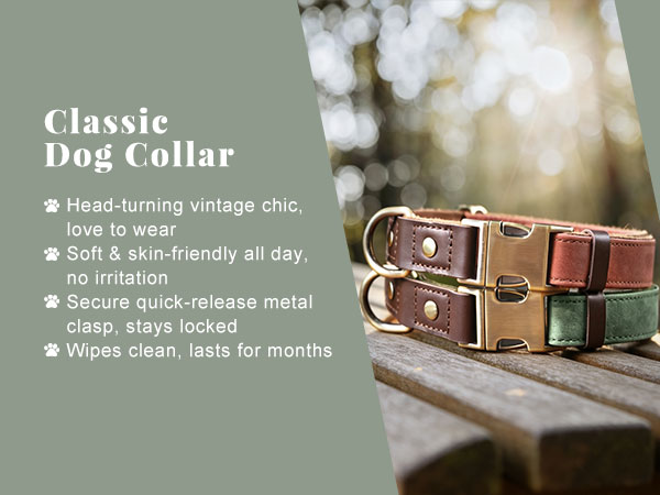 classic dog collar