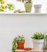 garden pots