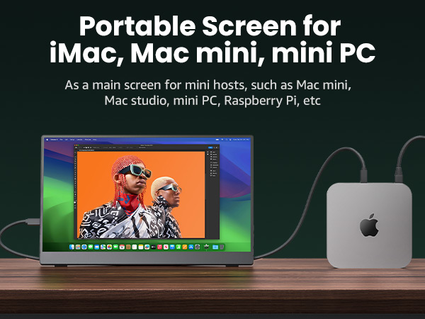 portable monitor