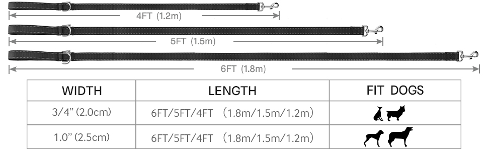 dog leash