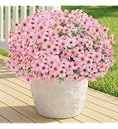 LetuoClips 13 Bundles Artificial Flowers for Outdoors Summer Decoration | Silk Realistic UV Resis...