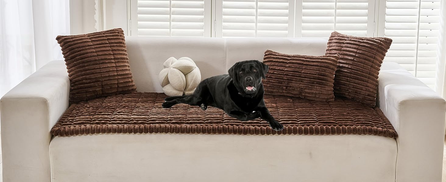 Dark Brown Couch Cover