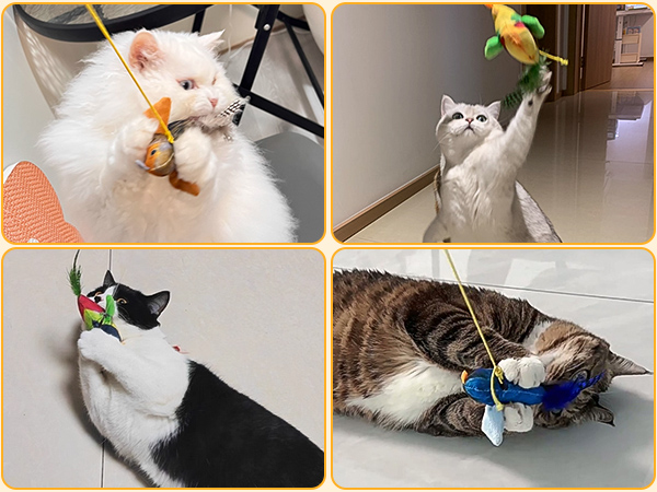 cat chew toy,kitten chew toy,chew toys for cats,cat nip toys,cat hunting toys for indoor cats