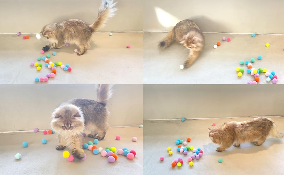 cat ball toy