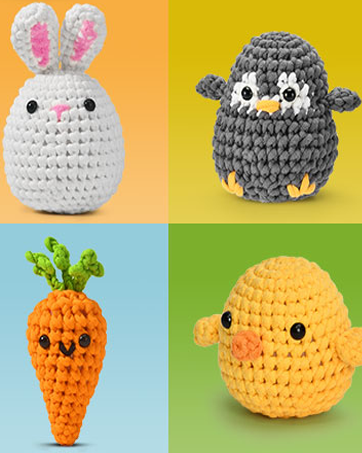 Crochet Kit for Beginners