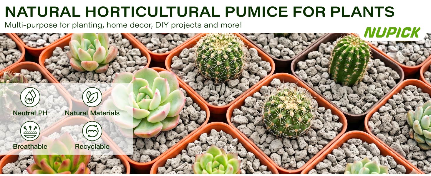 pumice for plant