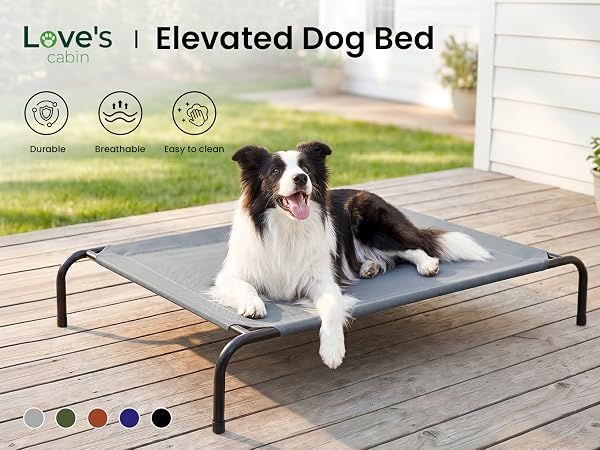 elevated dog bed