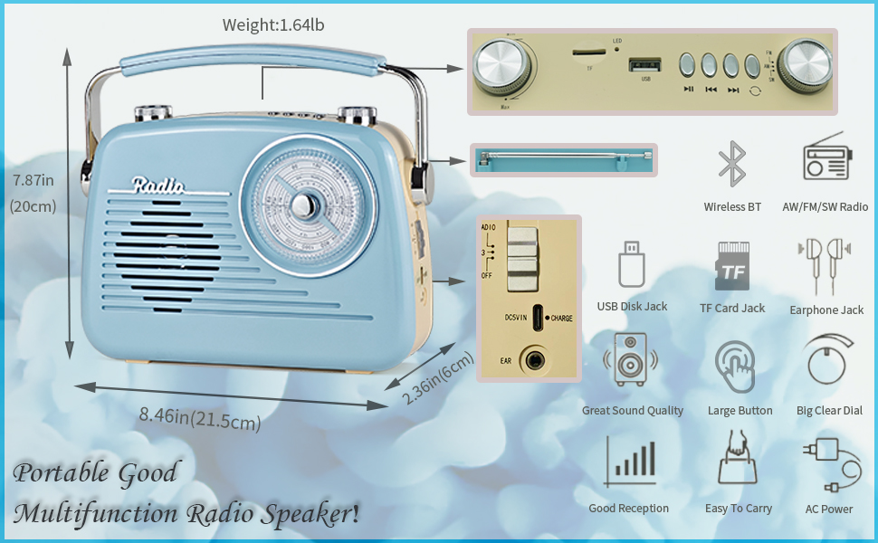 D216 Retro Radio