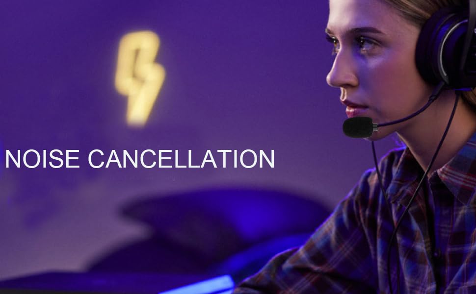 Detachable Microphone