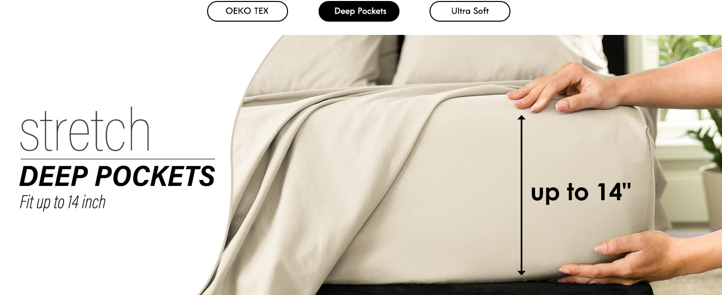 SHEET