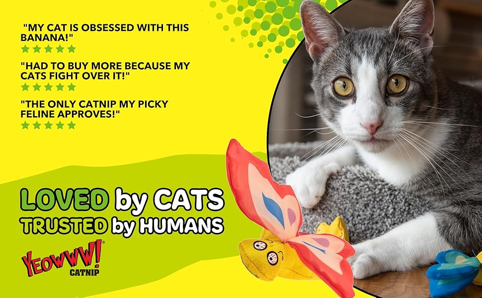 DuckyWorld Yeowww! catnip loved cats