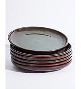 Pokini Ceramic Dinner Plates Set of 6, 10 Inch Handmade Reactive Glaze Stoneware Plates, Modern R...