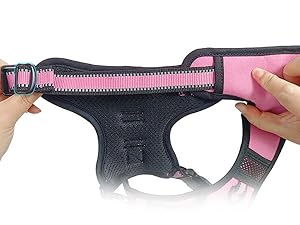dog harness