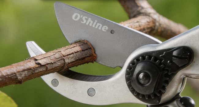 Sharp Japanese SK5 steel blade with black non stick PTFE coating for rust resistant garden shears.