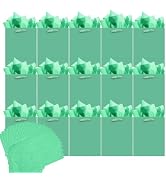 qiqee 24pcs Lake Green Gift Bags with Tissue Paper for Wedding, Birthday, Party Supplies-4.7"x6.3...