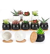 SHECIPIN 12 Pack Succulent Plant Pot, Mini 2.6 inch Ceramic Flower Planter Pot with Bamboo Tray, ...
