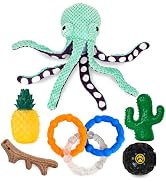 NWK Dog Chew Toy Pack of 6 | Ideal for Teething, Entertainment & Interactive Play, Dog Chew Toy P...