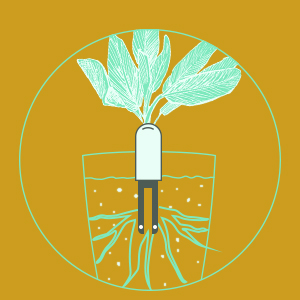 Soil Moisture Meter