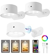 AMETHEUS Picture Lights for Wall, 2000mAh Rechargeable Magnetic Art Lights with 3 Color Temps & R...