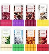 SCENTORINI Wax Melts, Scented Wax Melts, Vanilla & Coconut, Apple & Cinnamon, Pumpkin, Mint & Whi...