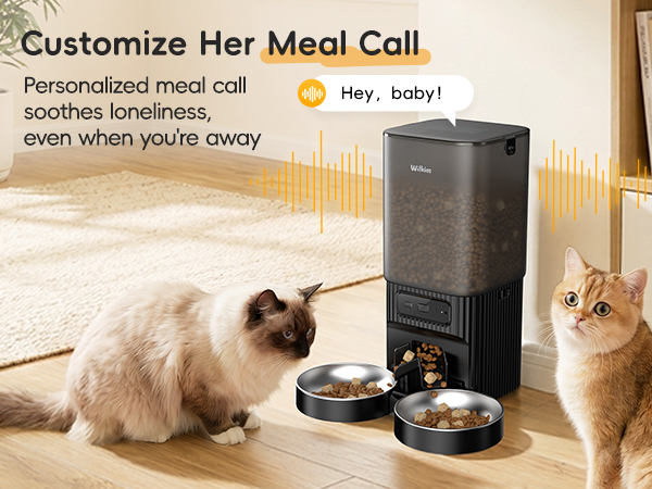 cat automatic feeders