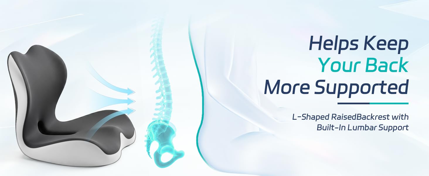 lumbar support cushion