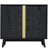 Sango Cortland 2-Door Accent Cabinet, Sleek Black Storage Cabinet with Brass Handles, Adjustable ...