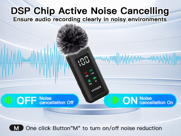 portable microphone