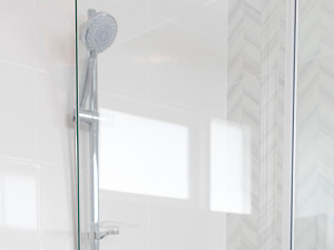 Disposable Toilet Brush