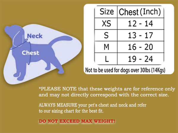 harness for dogs