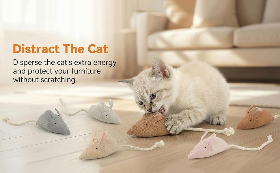 Disperse the cat's extra energy and protect your furniture without scratching.