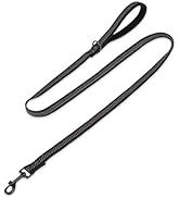 PUPTECK Reflective Dog Leash with Comfortable Padded Handle Durable Nylon Dog Lead for Small Medi...