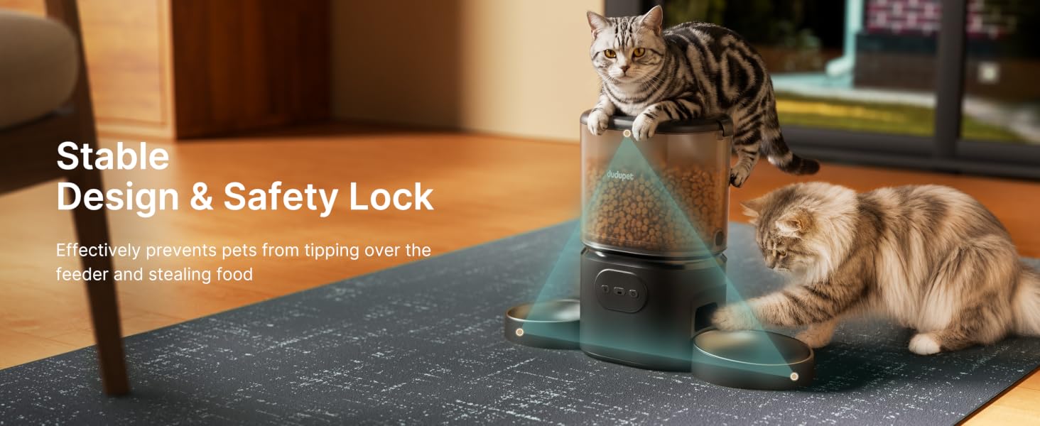 cat food dispenser