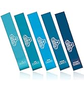 Bear Grips Resistance Bands for Working Out, Exercise Bands for Hips and Glutes, Booty Bands for ...