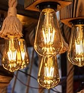 decorative light bulb