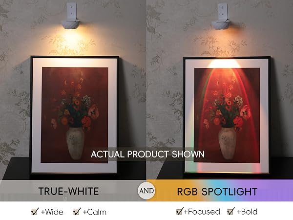 art light
