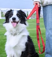 Double Layer Double-Sided Reflective Nylon Dog Leash Padded Handle 5 FT Nylon Dogs Leashes for Wa...