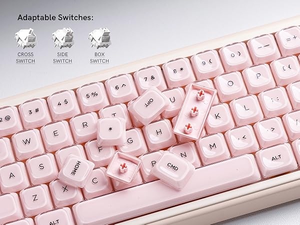 Jelly Low Profile Keycaps Shine Through Keycaps